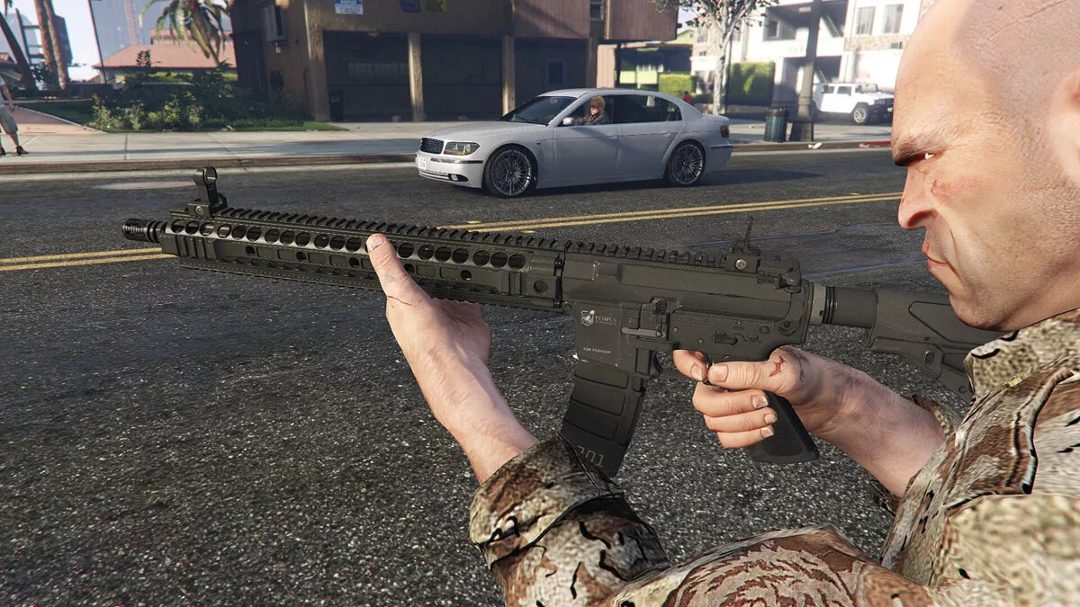 AR-15 Custom [Animated] / GTA 5