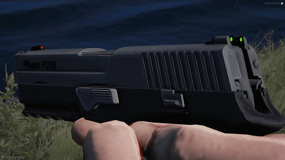 [RoN] SIG Sauer P250 Compact (FiveM + SP) / GTA 5