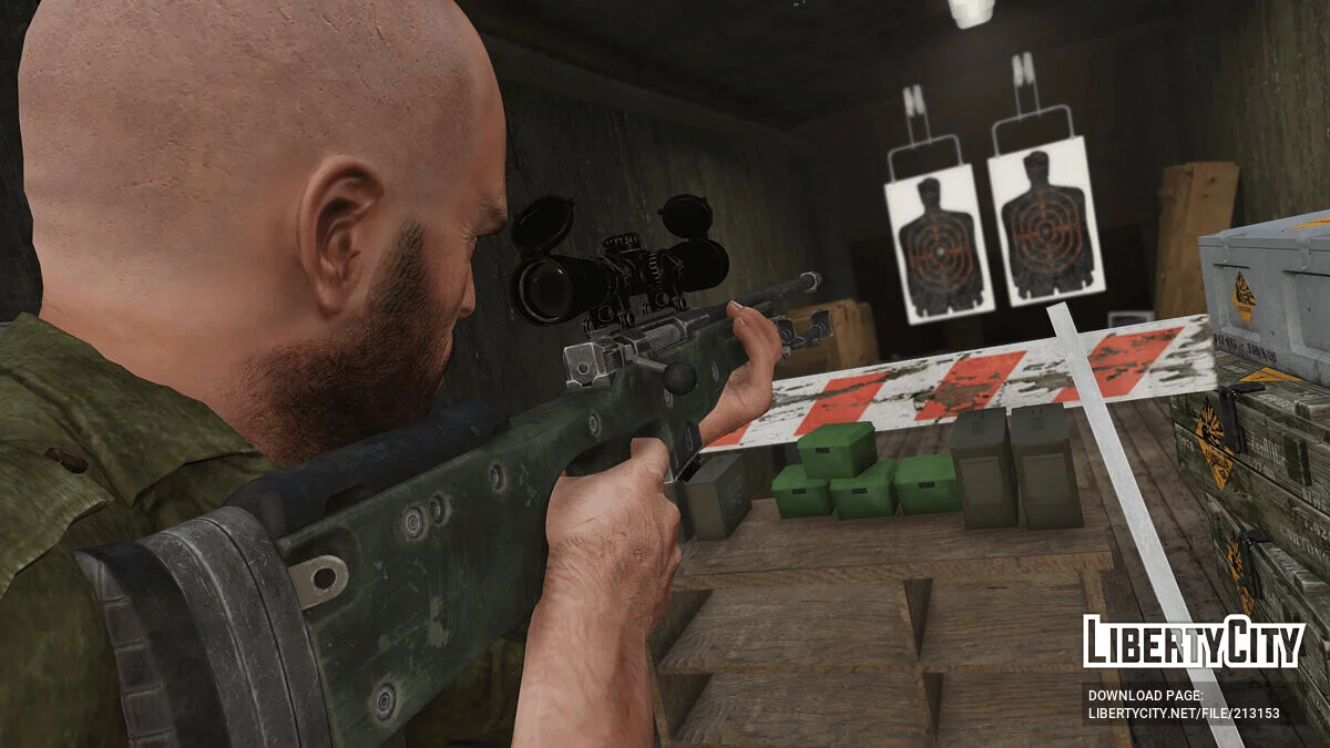 Accuracy International AWM / GTA 5