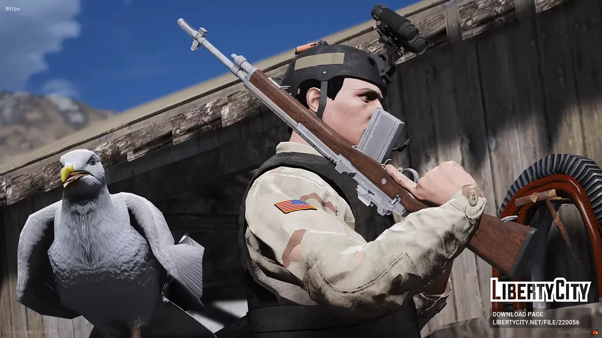 [RoN] M14 (2 版本) / GTA 5