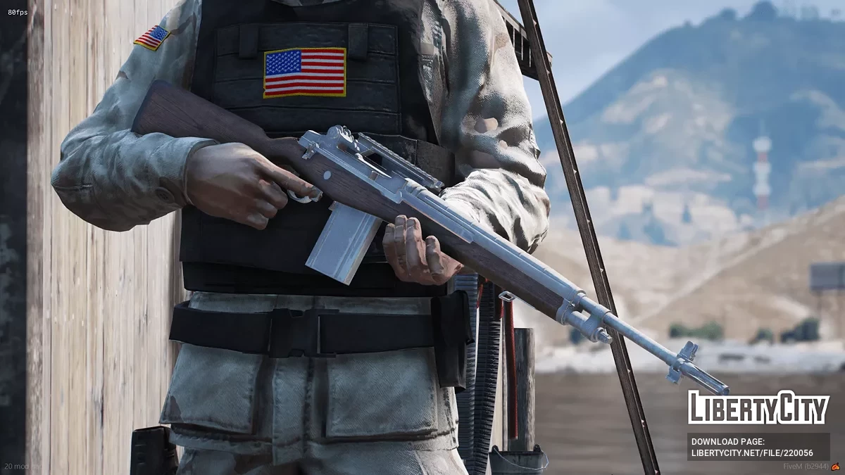 [RoN] M14 (2 版本) / GTA 5