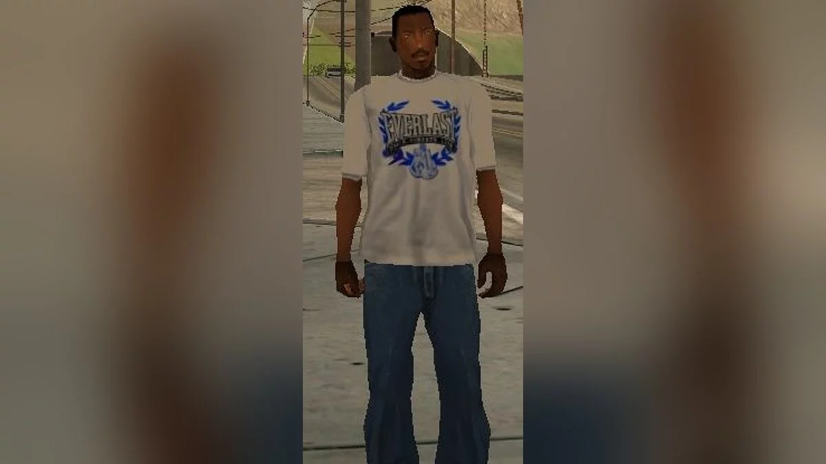 Small T-Shirt Pack / GTA San Andreas