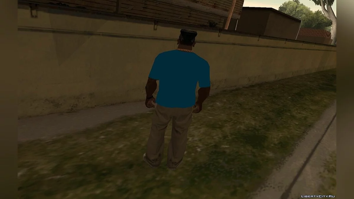 Blue T-Shirt / GTA San Andreas