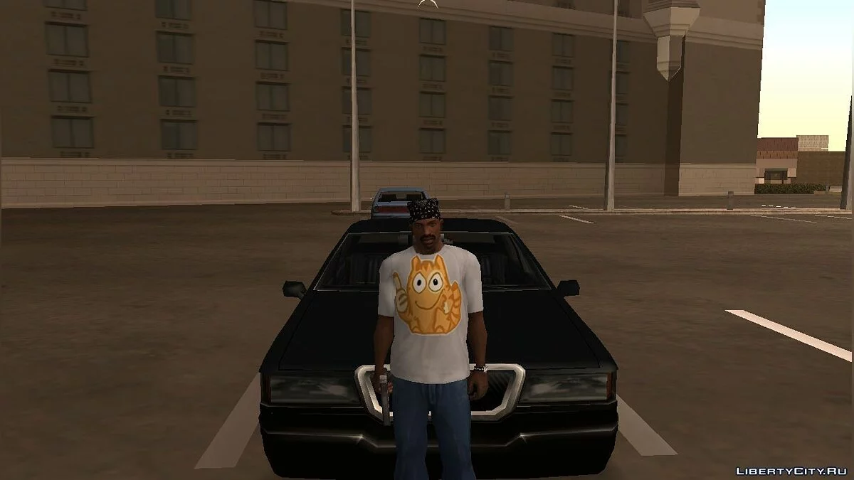 Cat Peach T-Shirt / GTA San Andreas