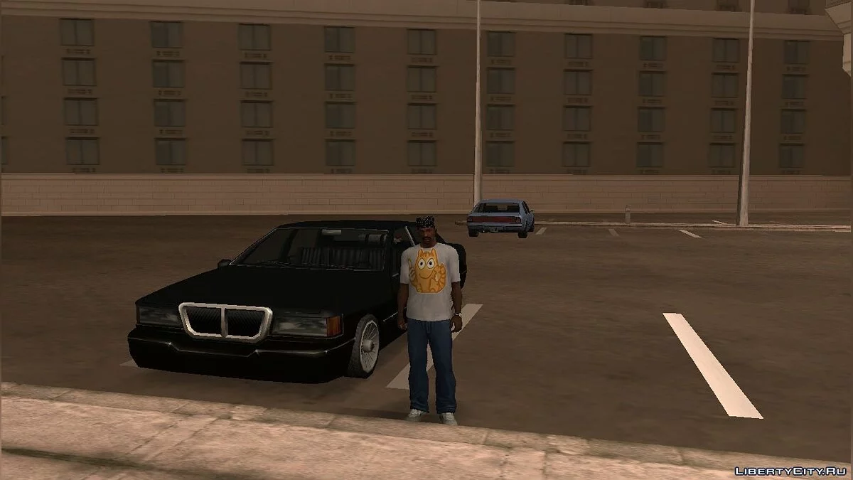 Cat Peach T-Shirt / GTA San Andreas