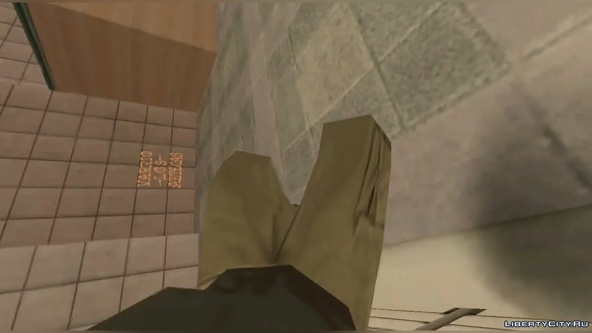 GoPro 2: Extreme Life / GTA San Andreas