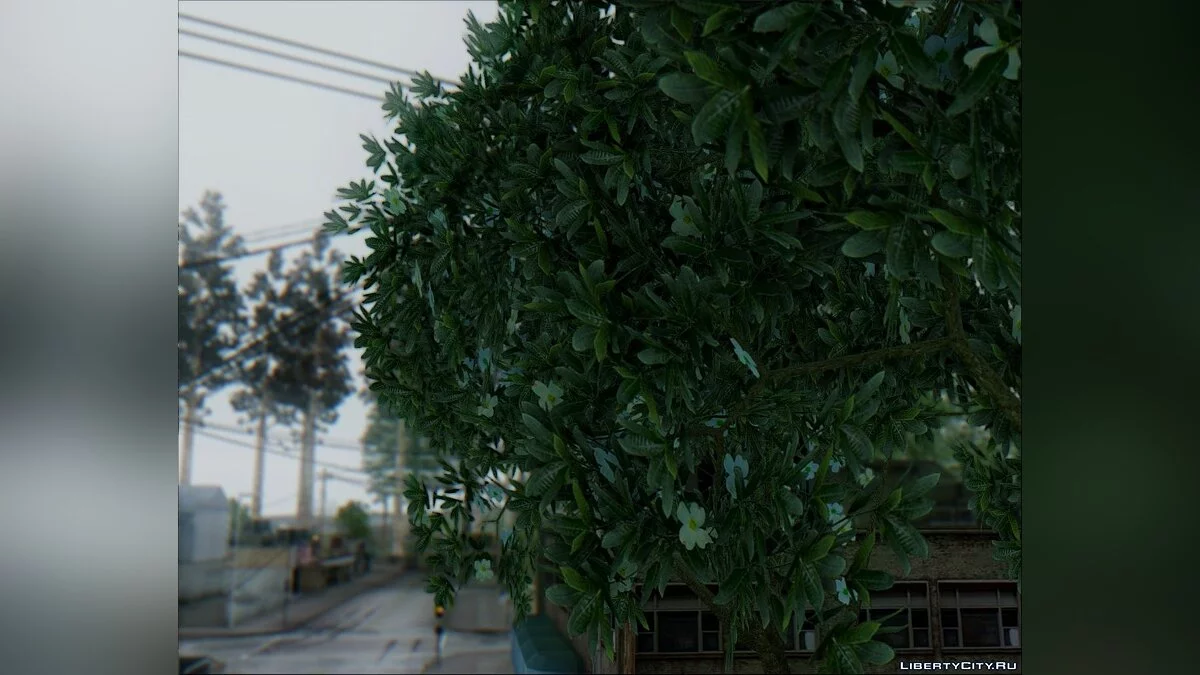 Screenshot version Sa_Nvidia [VIDEO] / GTA San Andreas