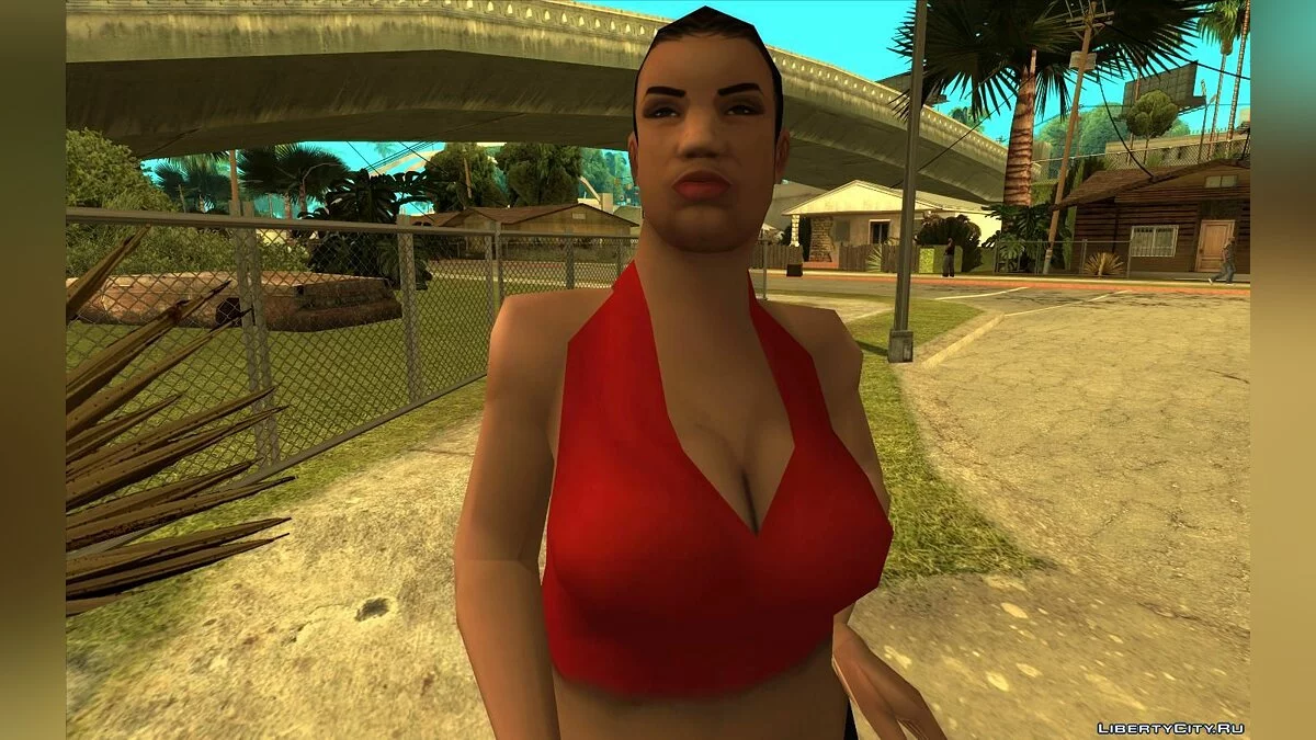 RoSA Project Evolved 2021 - Покращені HD текстури / GTA San Andreas