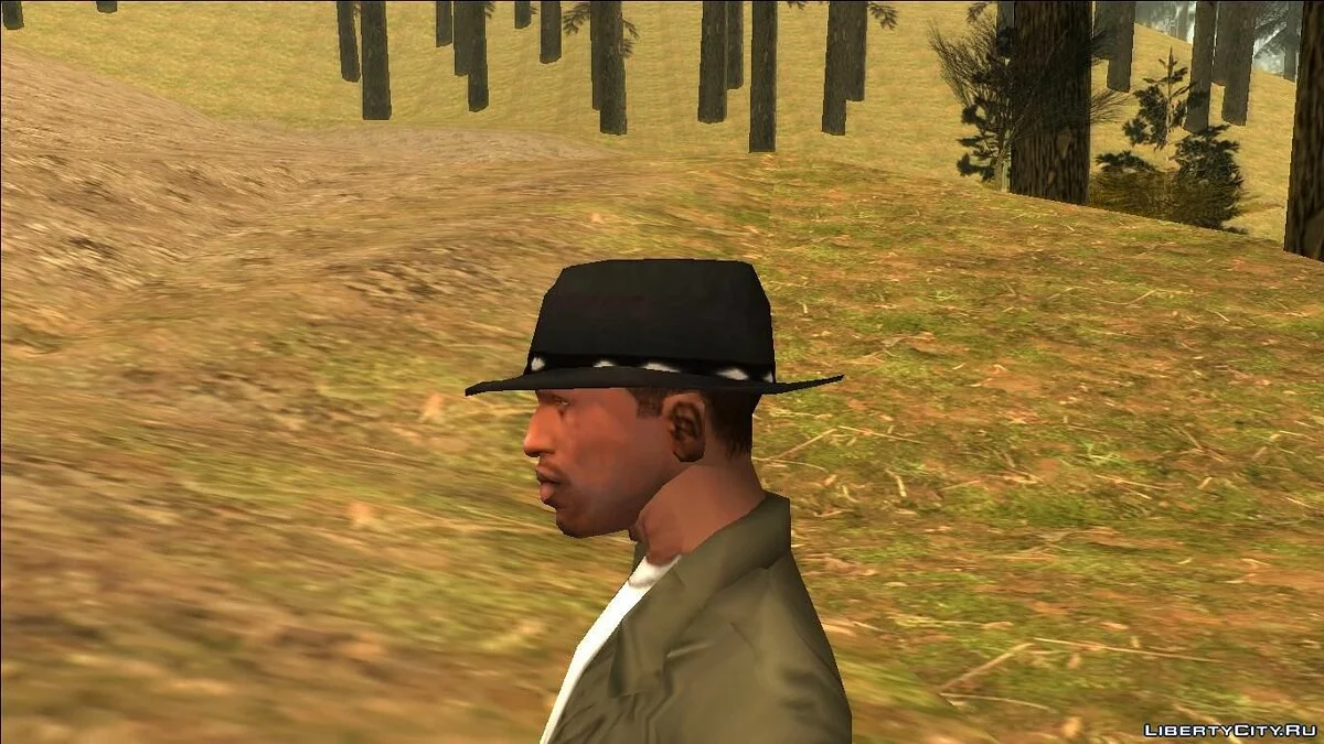 牛仔帽 / GTA San Andreas