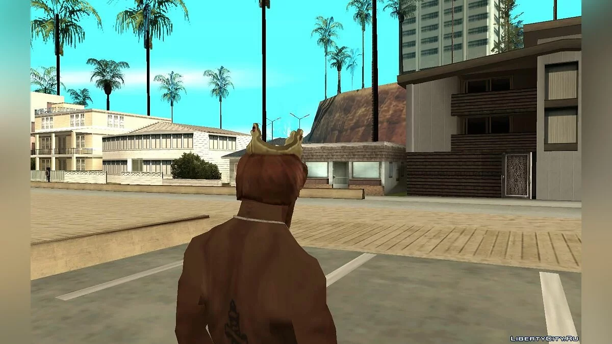 Маска підлого короля для Карла / GTA San Andreas