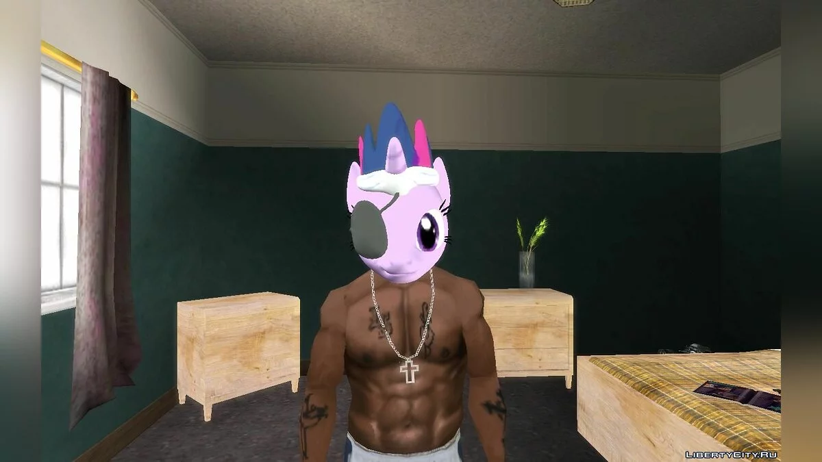 我的小马面具 / GTA San Andreas
