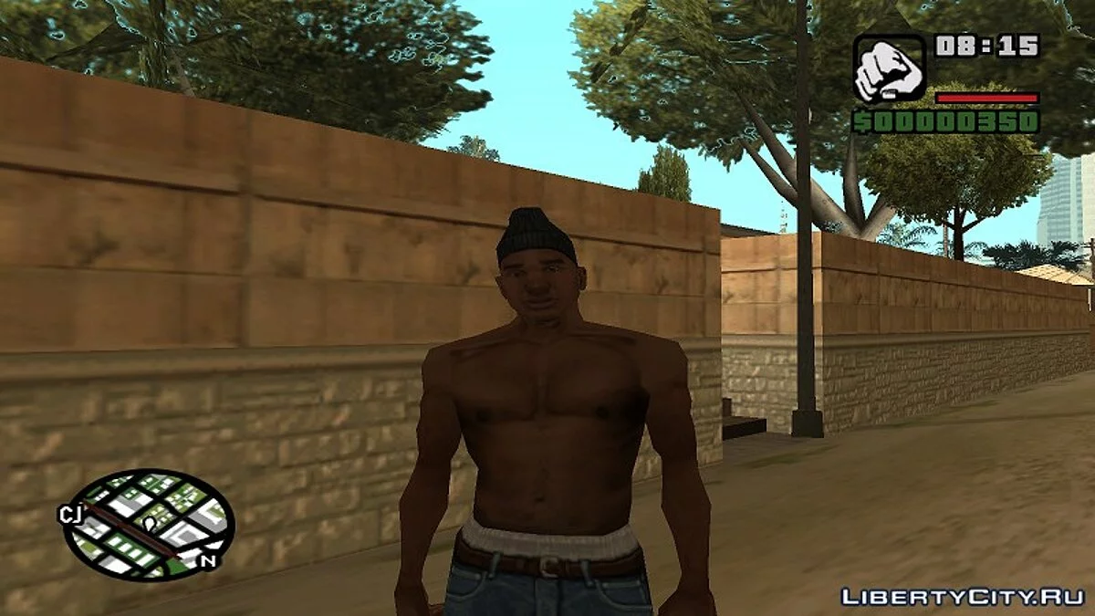 OG Loc Instead of CJ / GTA San Andreas