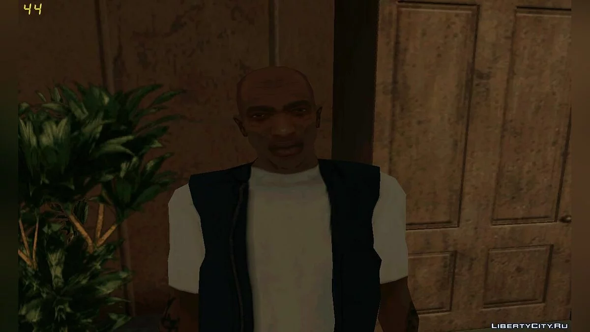 Aged CJ / GTA San Andreas