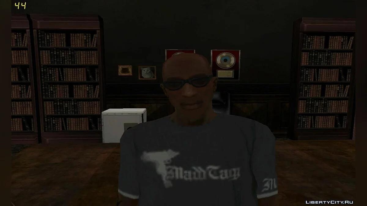 Aged CJ / GTA San Andreas