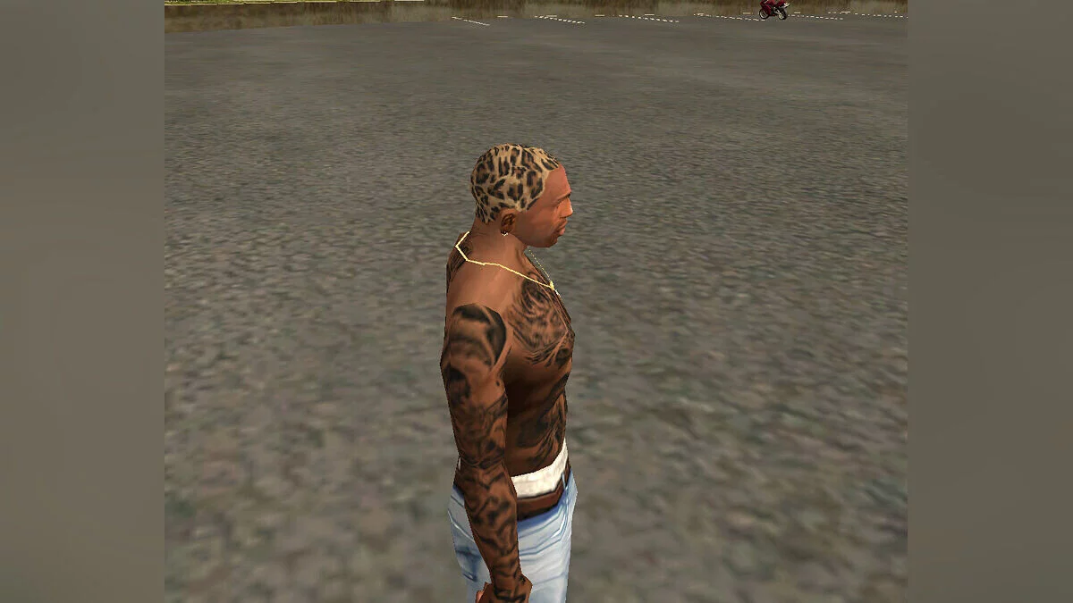 Leopard Print Hair Dye / GTA San Andreas
