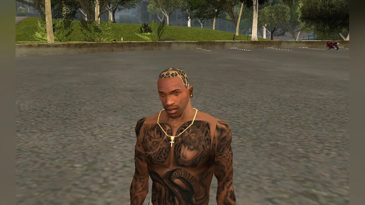 Leopard Print Hair Dye / GTA San Andreas