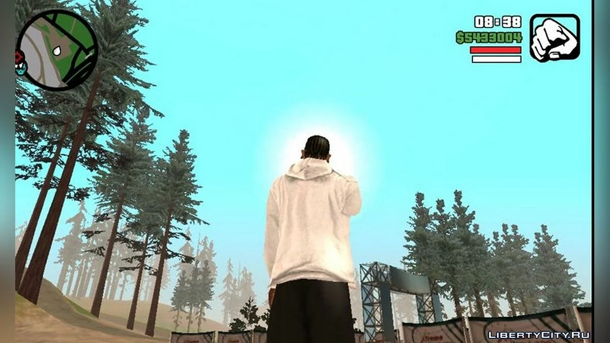 Growing and Smoking Weed / GTA San Andreas (iOS, Android)