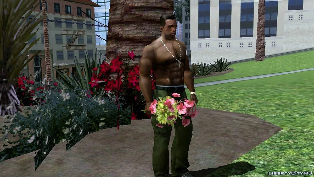 Recoger flores en Glen Park / GTA San Andreas (iOS, Android)