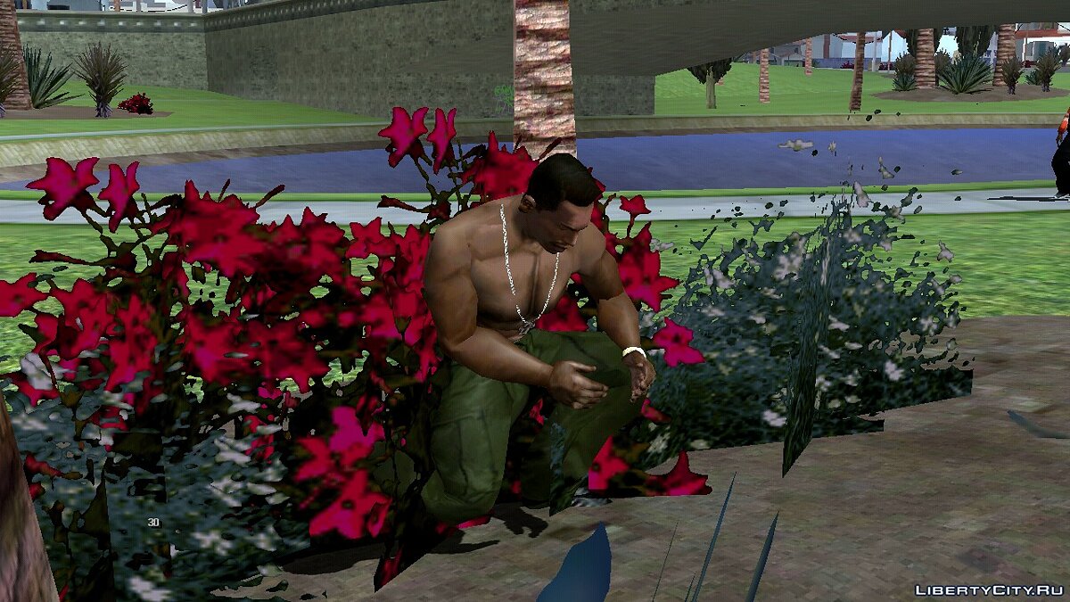 Download Pick flowers in Glen Park for GTA San Andreas (iOS, Android)