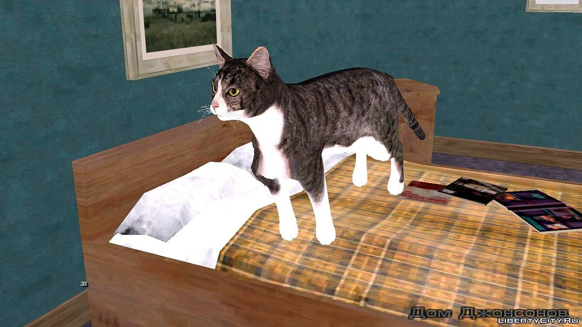 Kucing di Rumah Carl / GTA San Andreas (iOS, Android)