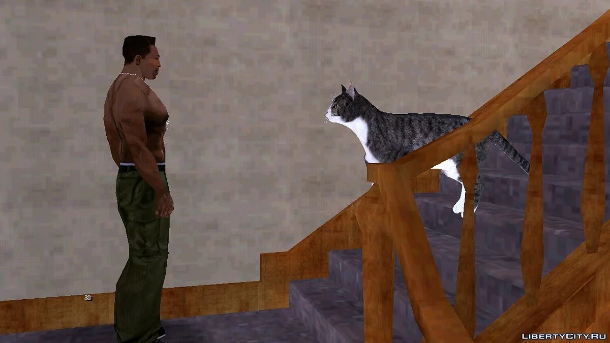 Kucing di Rumah Carl / GTA San Andreas (iOS, Android)
