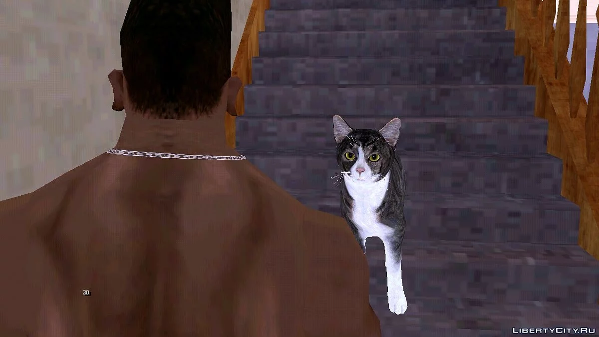 Kucing di Rumah Carl / GTA San Andreas (iOS, Android)