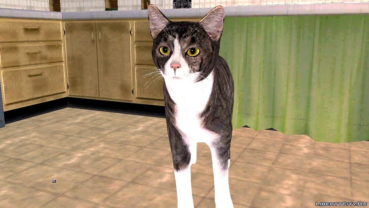 Kucing di Rumah Carl / GTA San Andreas (iOS, Android)