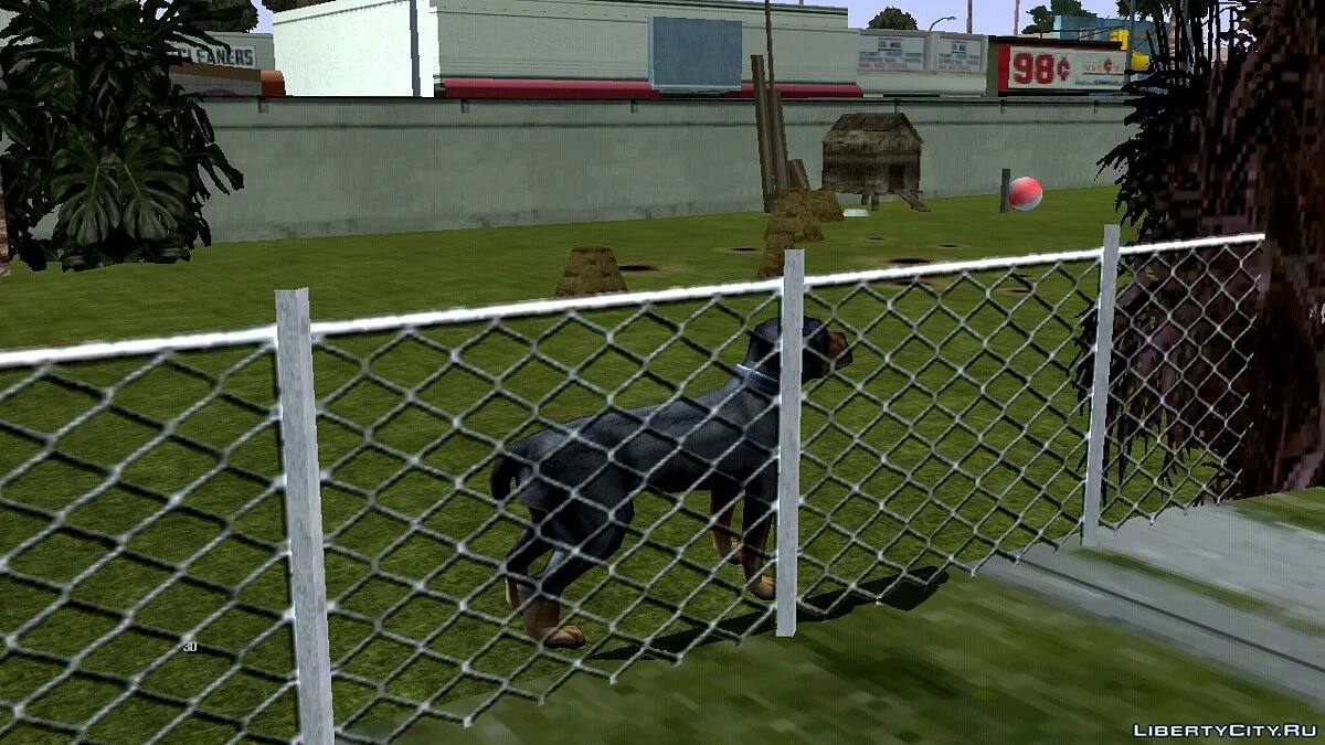 Anjing di Rumah Ryder / GTA San Andreas (iOS, Android)