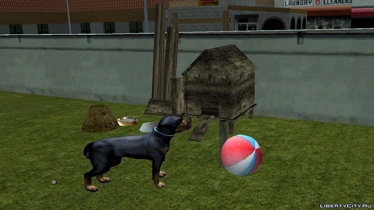Anjing di Rumah Ryder / GTA San Andreas (iOS, Android)