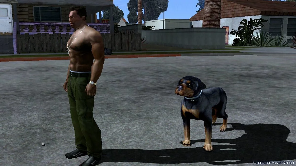 Anjing di Rumah Ryder / GTA San Andreas (iOS, Android)