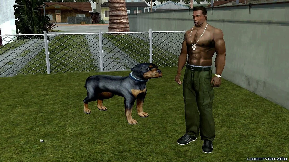 Anjing di Rumah Ryder / GTA San Andreas (iOS, Android)
