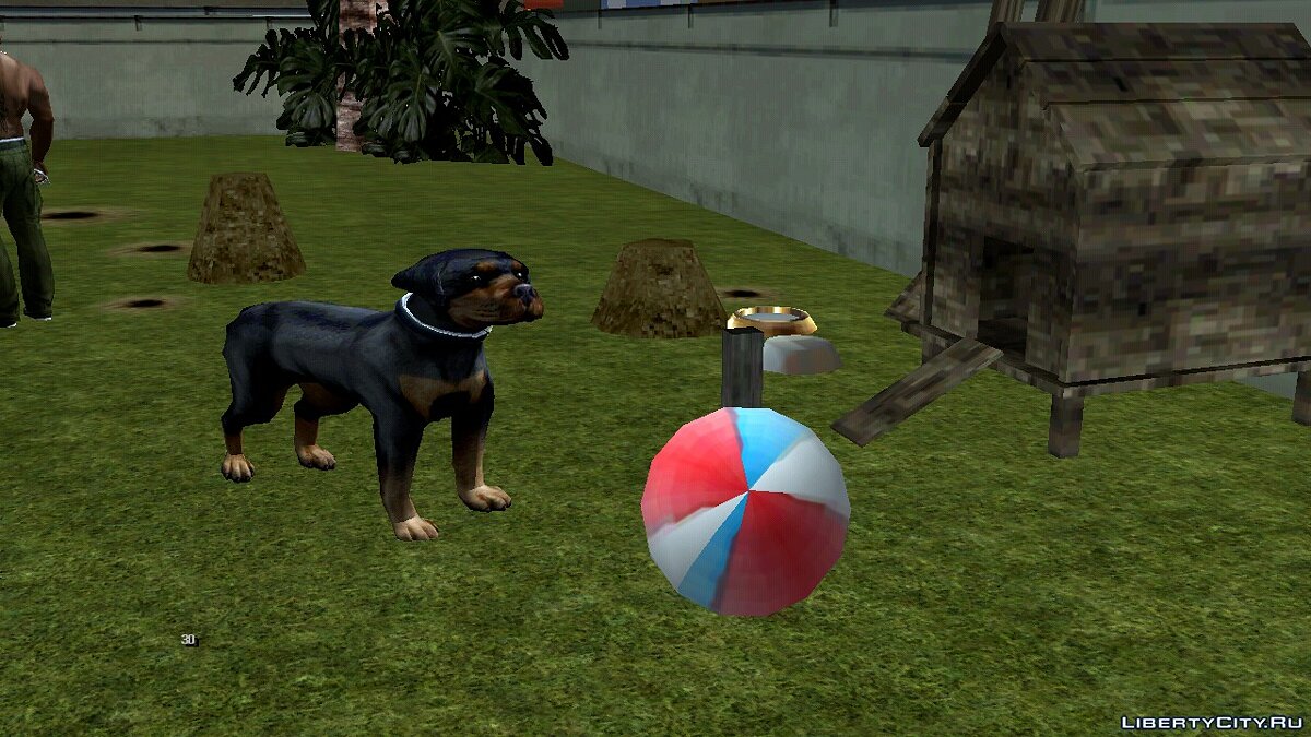 Download Dog behind Ryder's house for GTA San Andreas (iOS, Android)