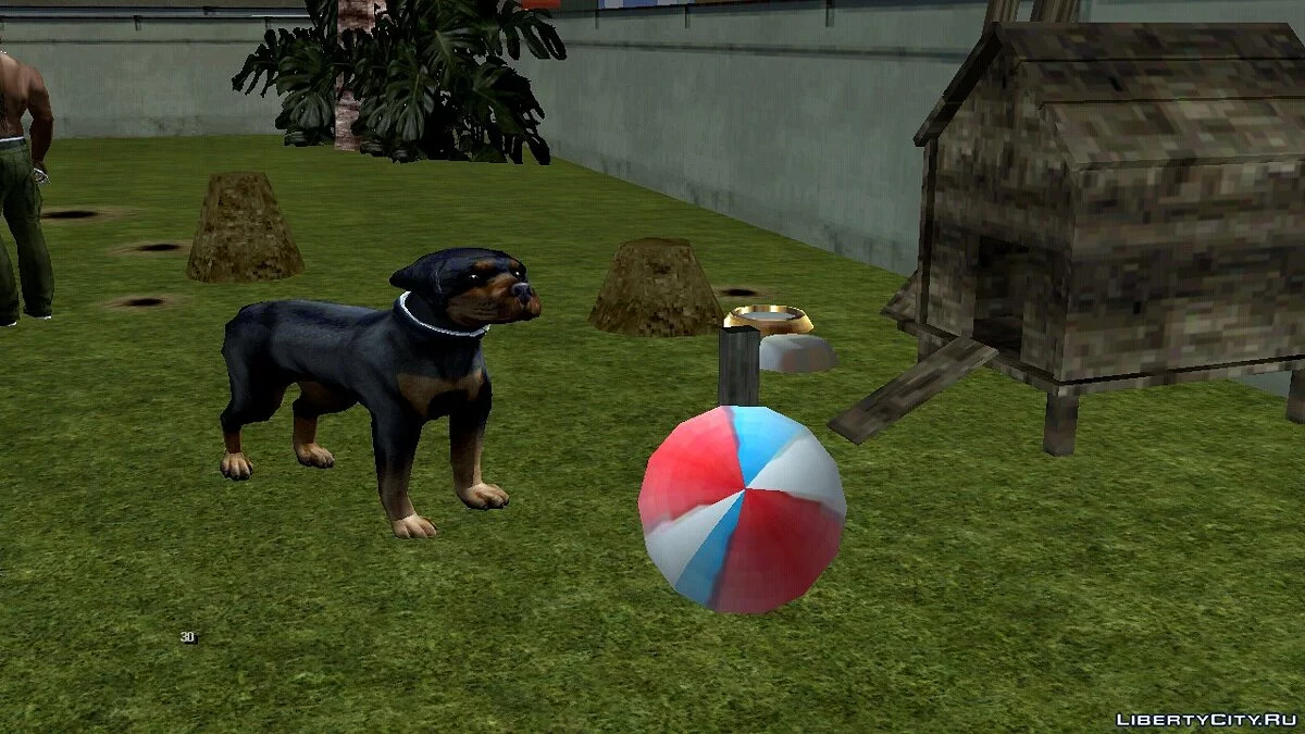 Anjing di Rumah Ryder / GTA San Andreas (iOS, Android)