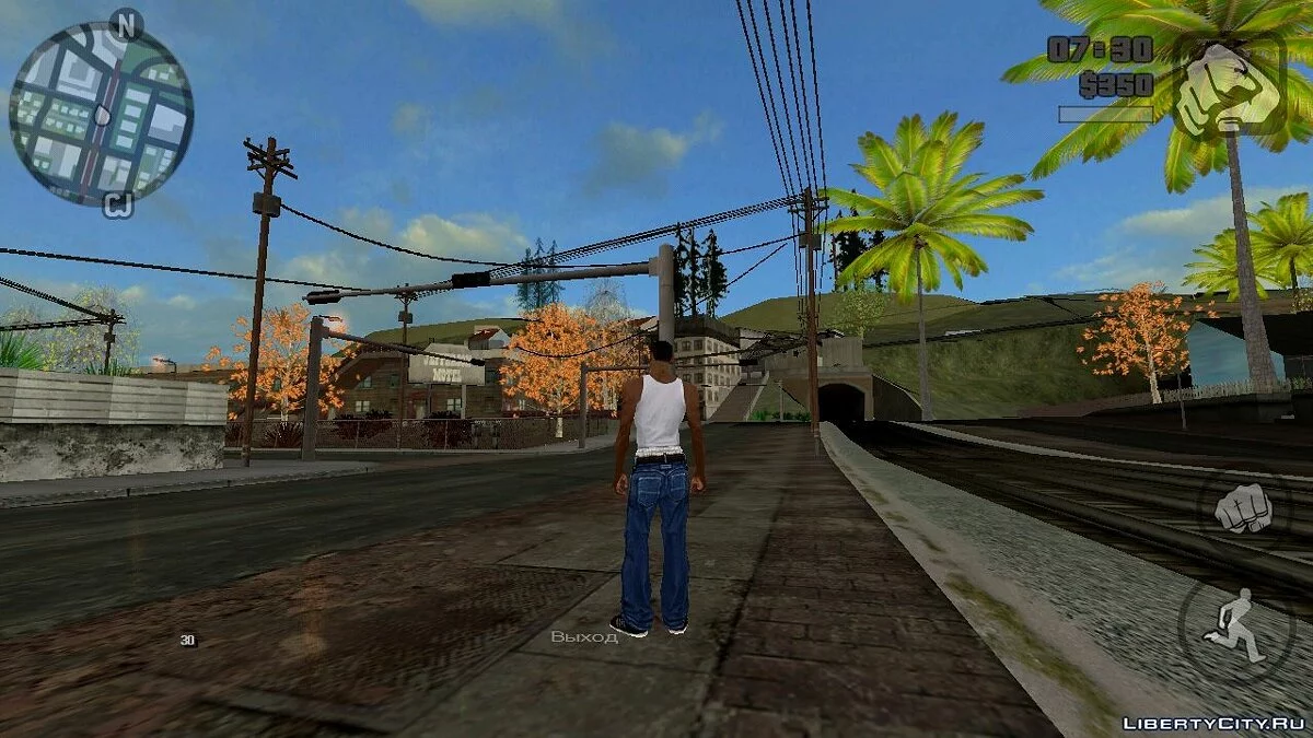 Extended Field of View / GTA San Andreas (iOS, Android)