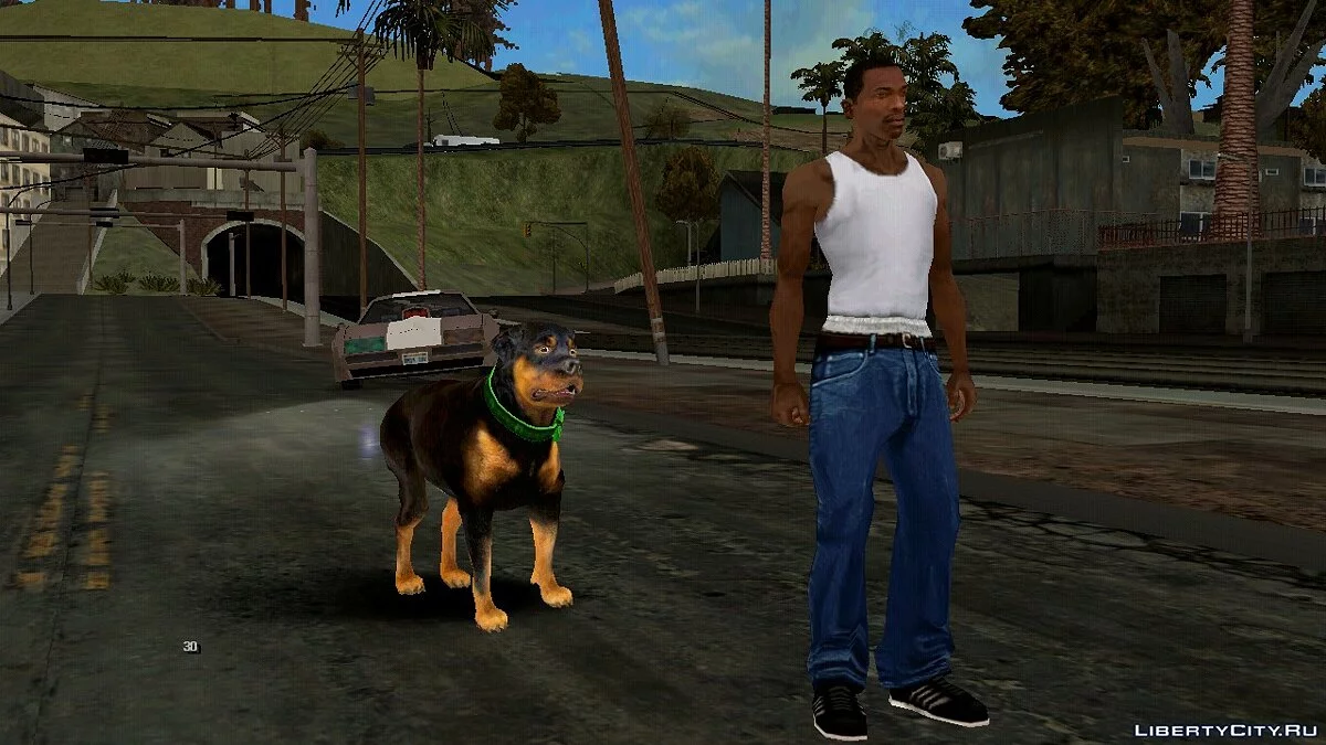 GTA 5中的查普 / GTA San Andreas (iOS, Android)