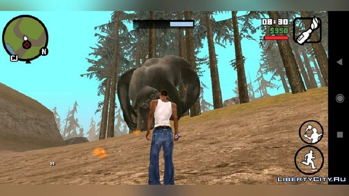 Rei Kong / GTA San Andreas (iOS, Android)