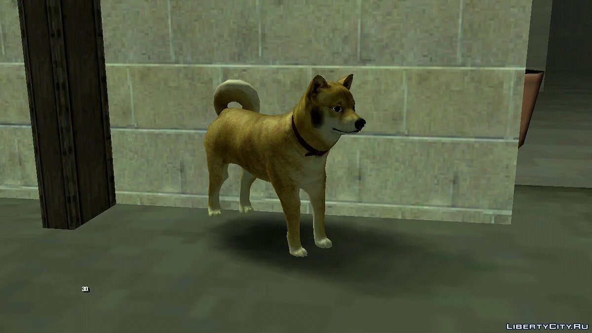 Dog at the station / GTA San Andreas (iOS, Android)