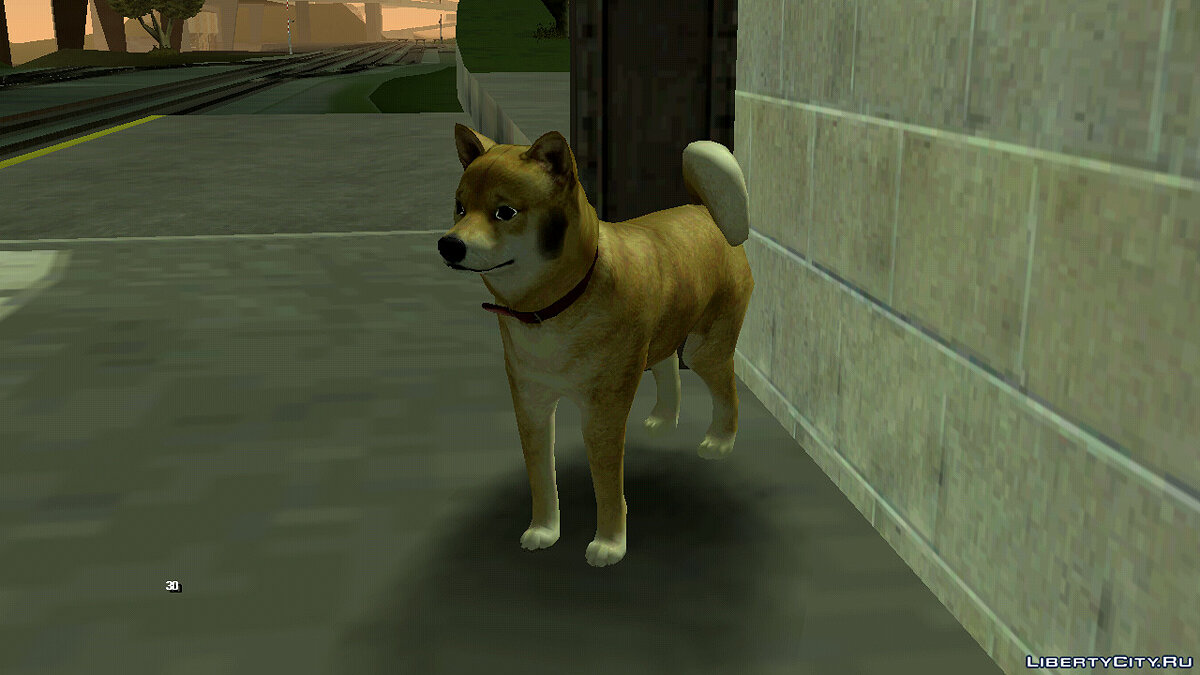 Download Dog at the station for GTA San Andreas (iOS, Android)
