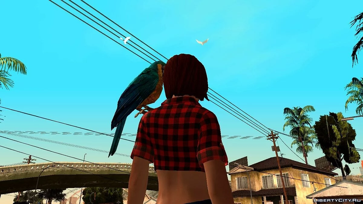 Попугай Ара (HQ модель) / GTA San Andreas
