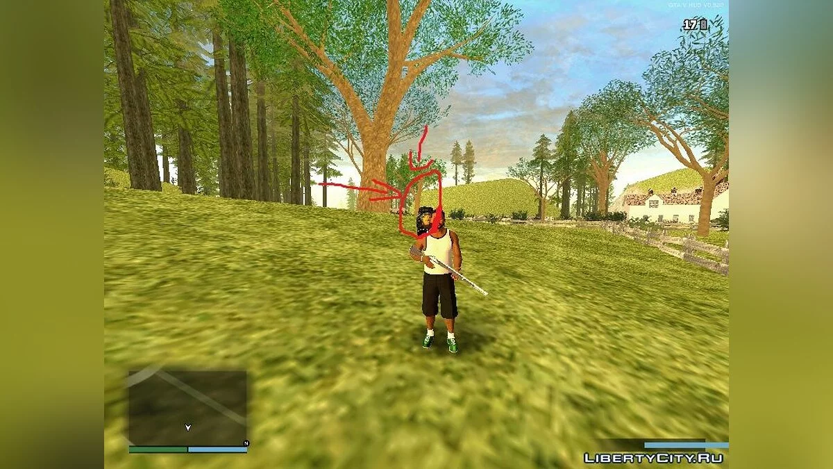 Brown Bear on the Farm / GTA San Andreas