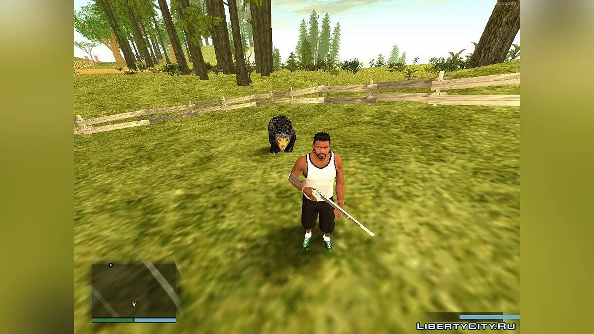 Brown Bear on the Farm / GTA San Andreas
