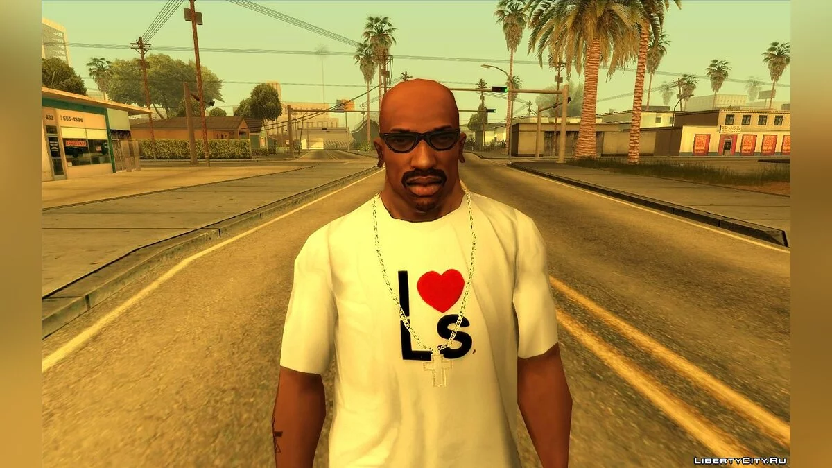 Ability to Choose Hairstyle and Beard / GTA San Andreas