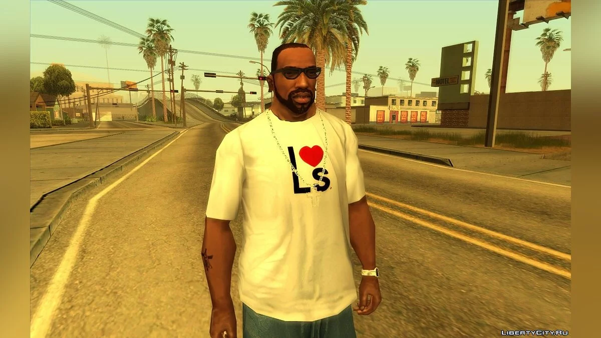 Ability to Choose Hairstyle and Beard / GTA San Andreas