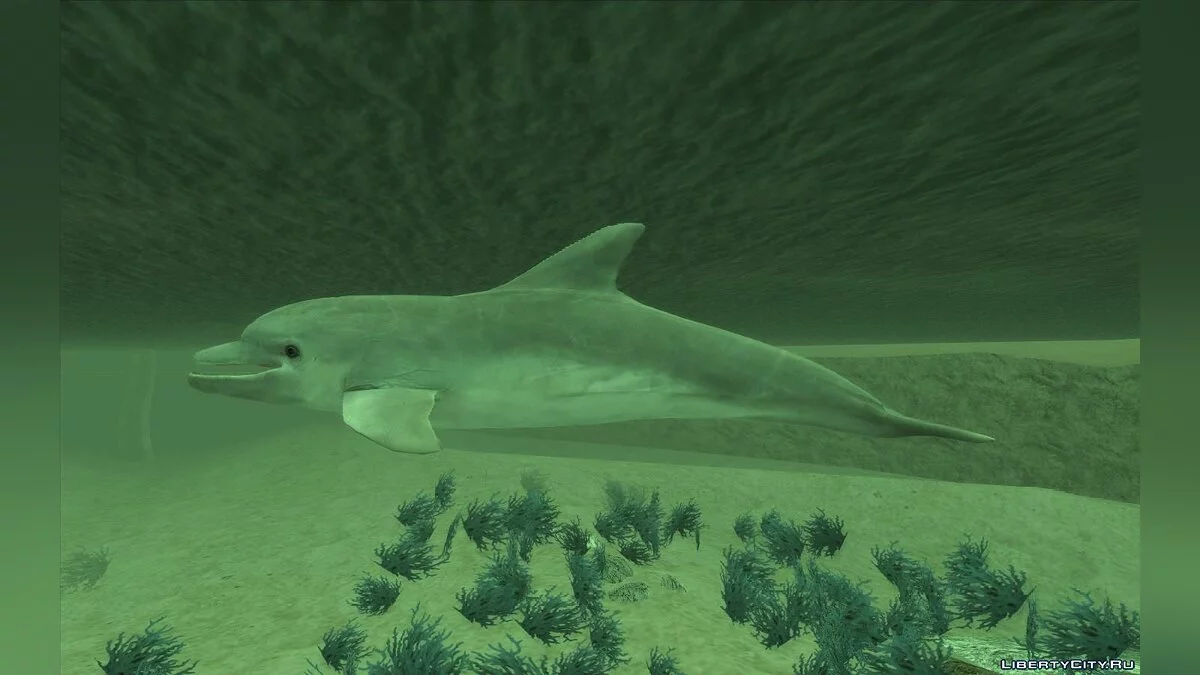 Habitantes del mar en HD / GTA San Andreas