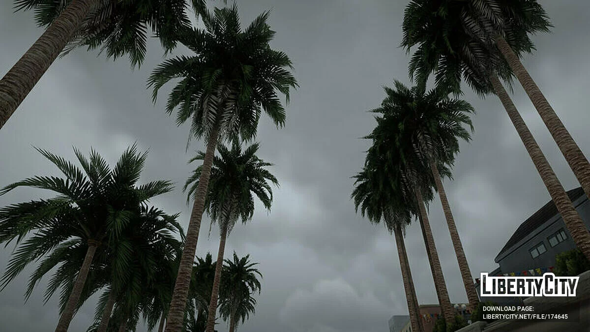 Пальмы из Definitive Edition / GTA San Andreas
