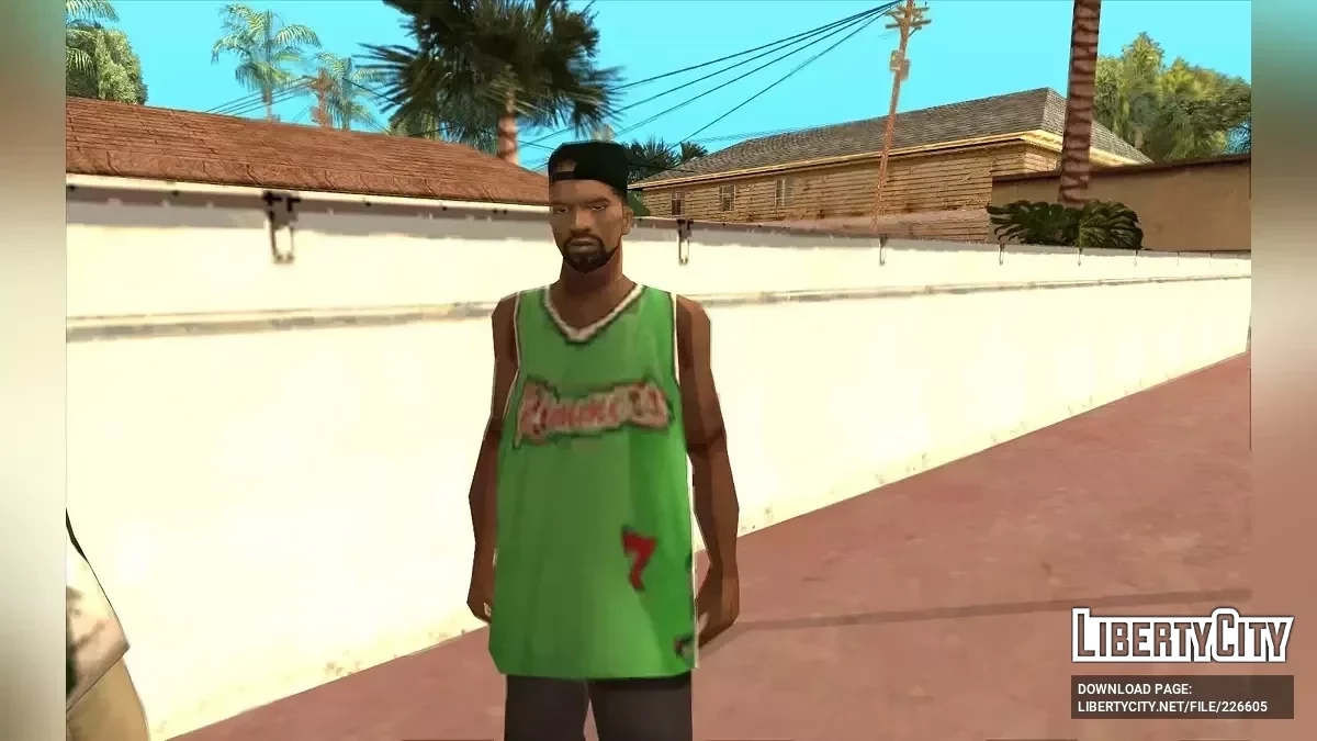 Розширені сім'ї Гроув-стріт / GTA San Andreas