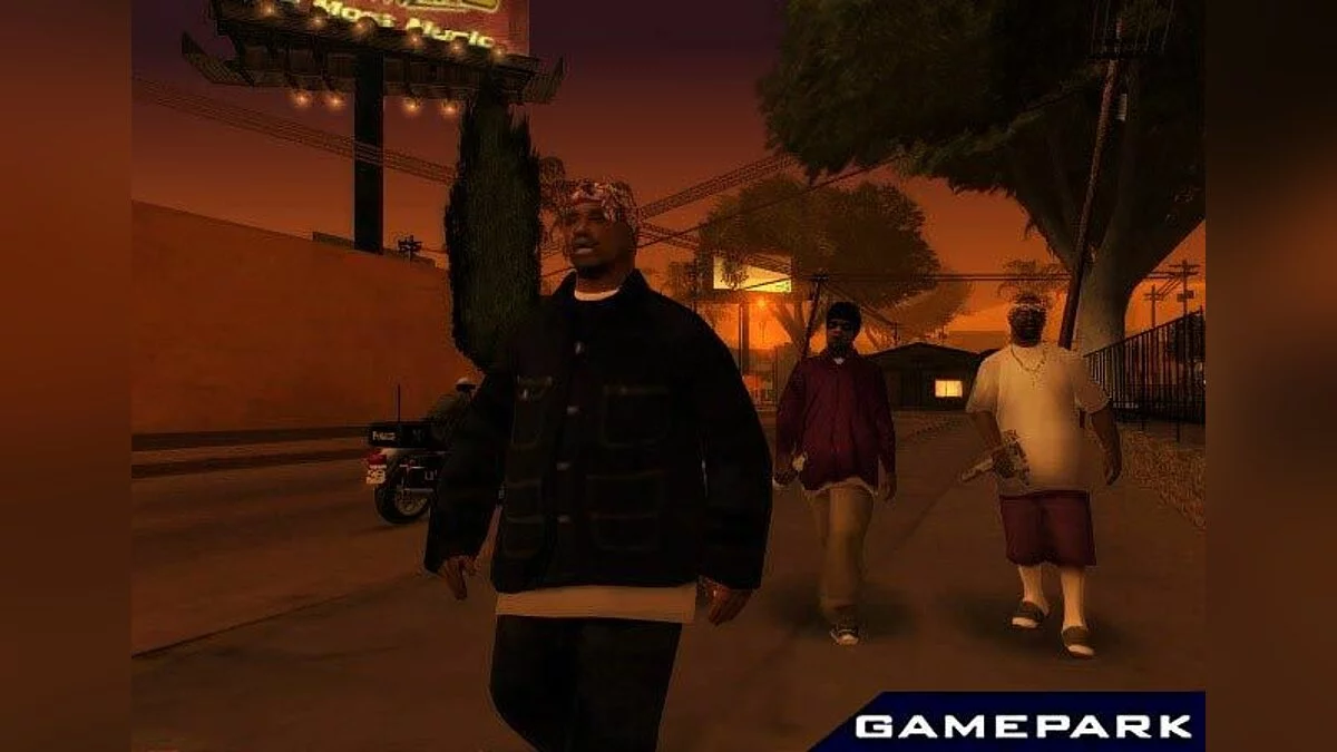 cool life / GTA San Andreas