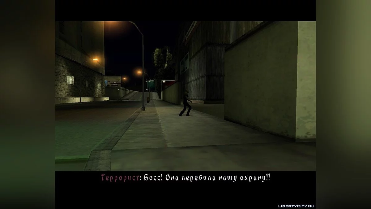 Looney Tunes Yakuza & Mental Hospital / GTA San Andreas