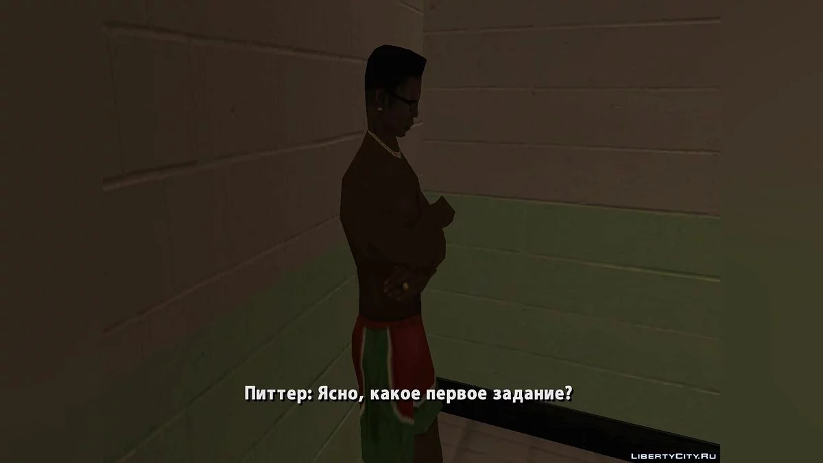 Agent 228 / GTA San Andreas