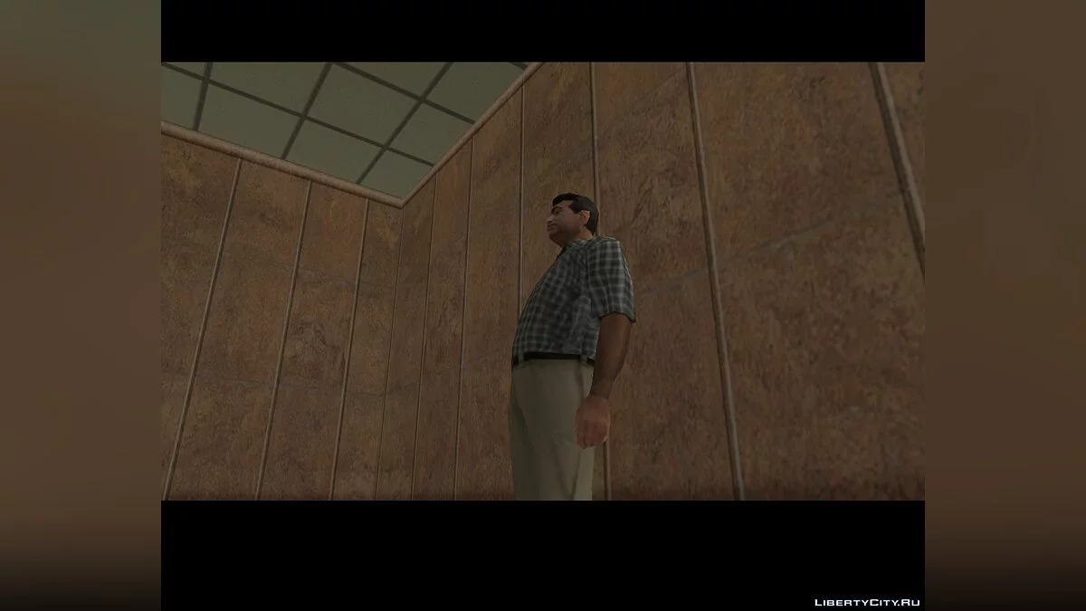Schwarze Tage in der Stadt der Engel / GTA San Andreas
